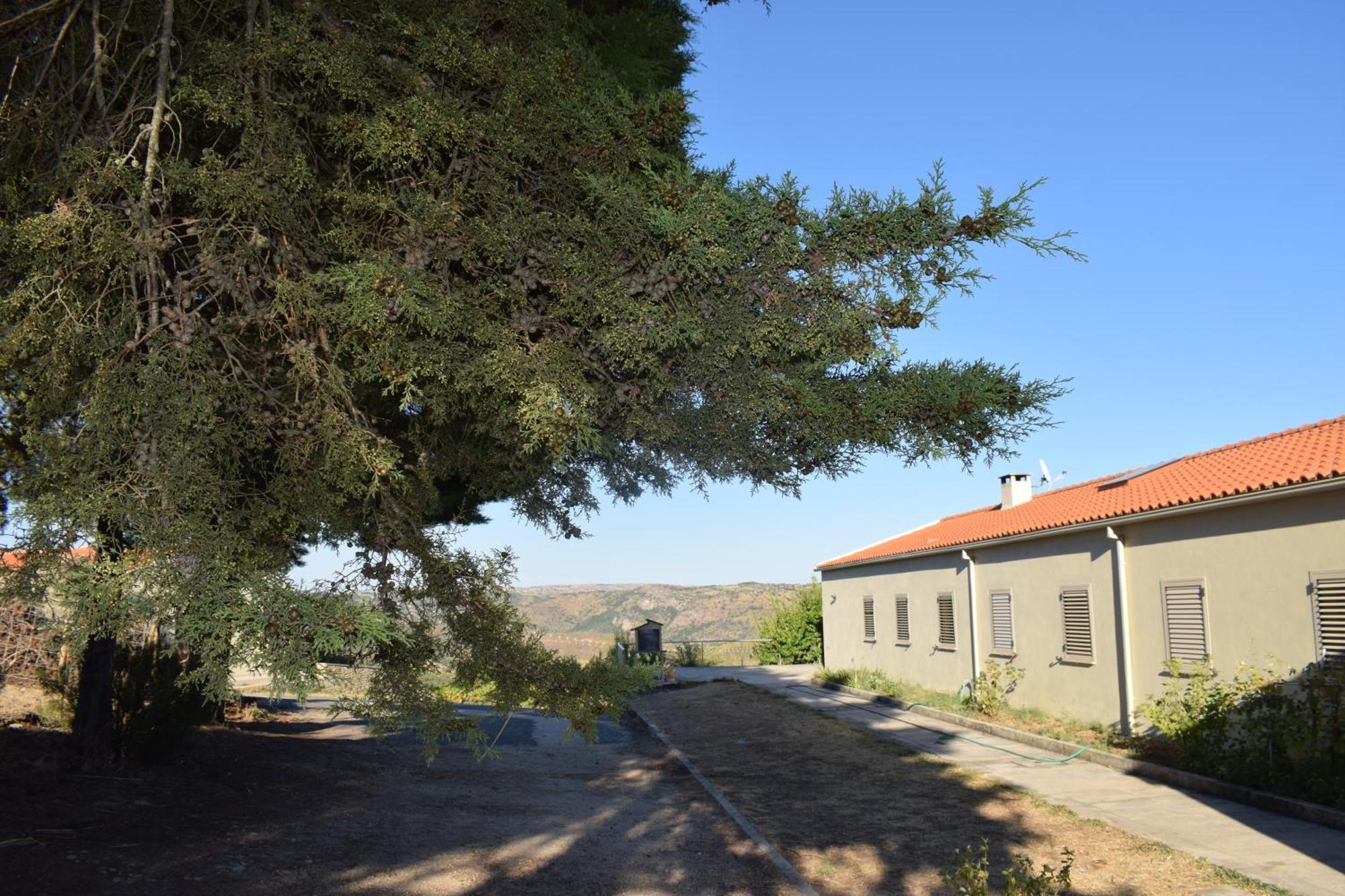 Douro Natura Bemposta  Exterior foto