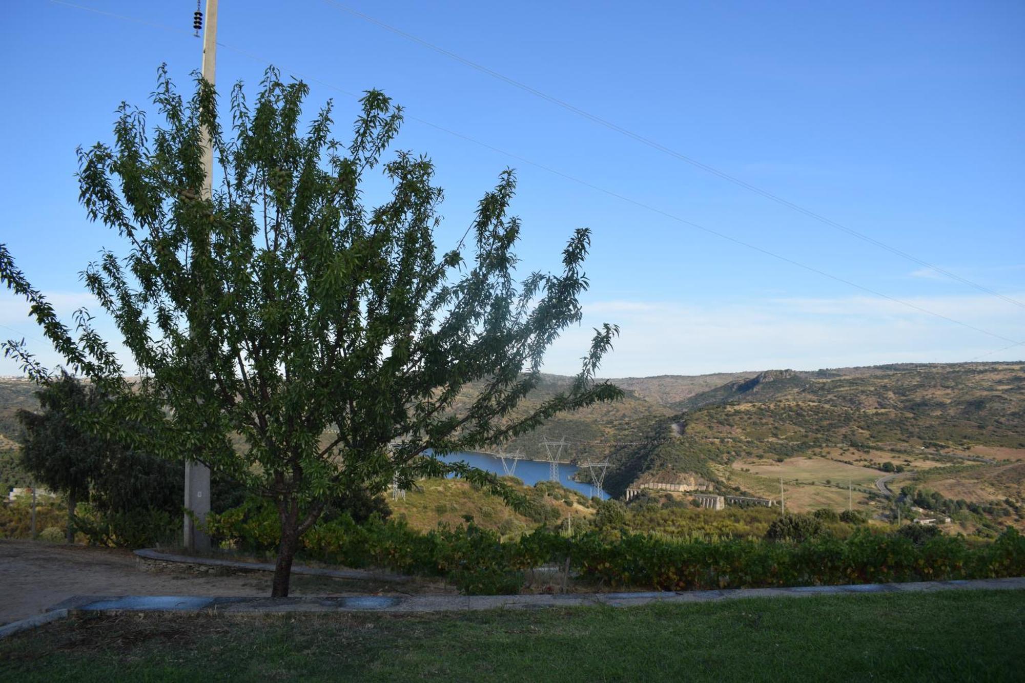 Douro Natura Bemposta  Exterior foto